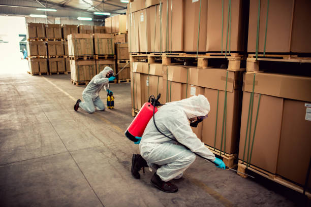 Best Termite Control Services  in Liberty, PA
