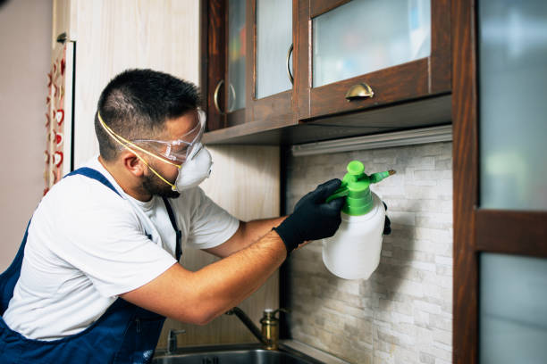 Best Pest Prevention Services  in Liberty, PA