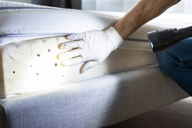 Reliable Liberty, PA Pest Control Solutions
