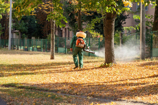 Best Cockroach Control Services  in Liberty, PA