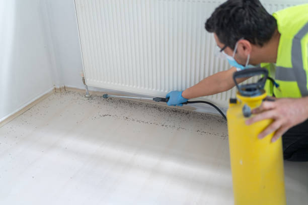 Best Wasp Removal Services  in Liberty, PA