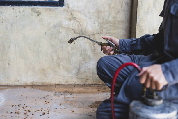 Best Residential Pest Control  in Liberty, PA