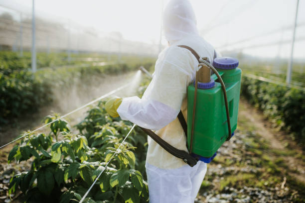 Best Mosquito Control Services  in Liberty, PA